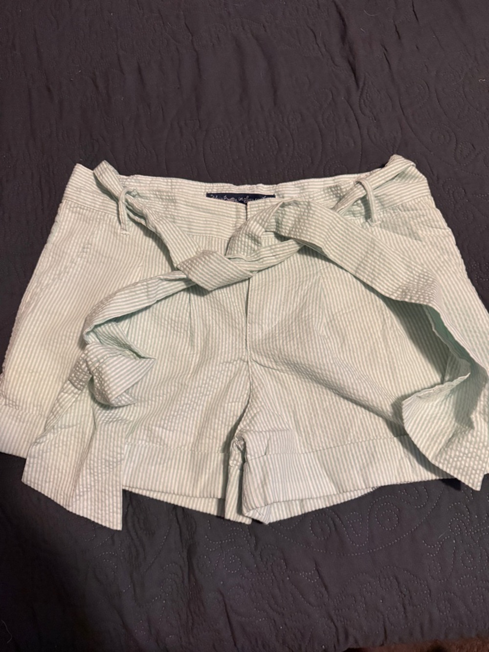 High-Waist Mint Striped Tie-Belt Women’s Shorts